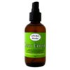 Jeff's Best Hemp Clear Energy Synergistic Balancing Mist